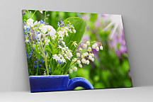 Obraz Konvalinky 1570